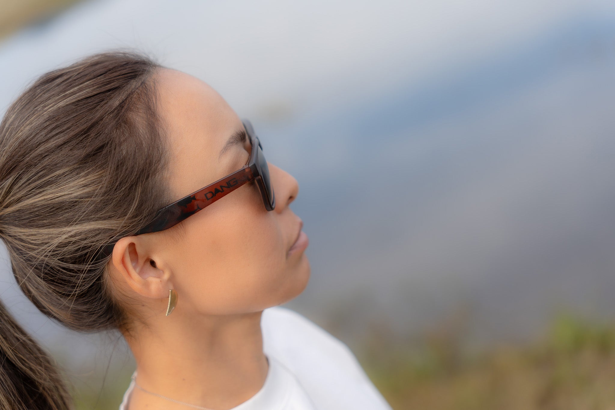 LOCO クリアブラウン x ブラック・スモーク 偏光レンズ 中村貴之デザイン魚柄モデル[vidg00498]