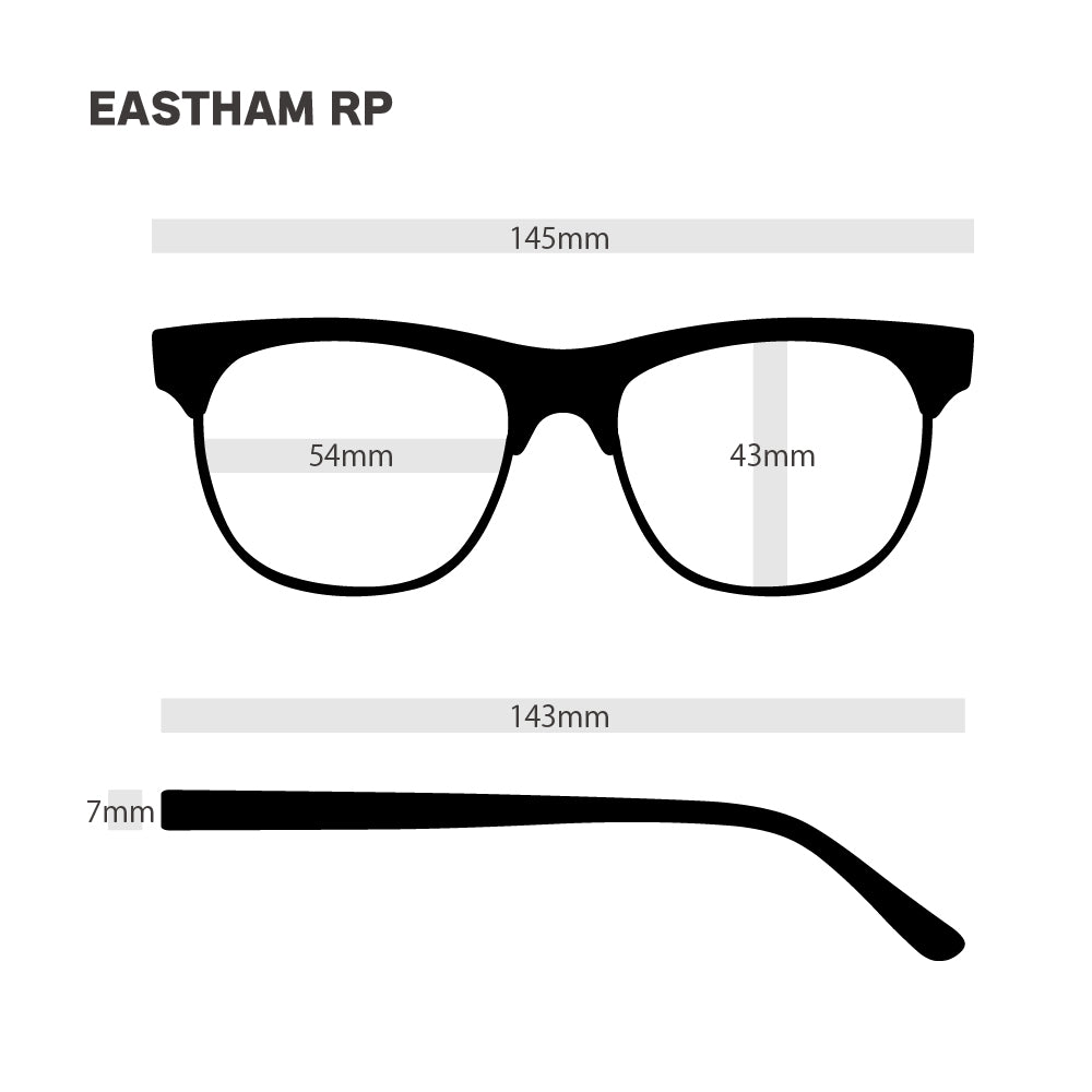 EASTHAM RP べっ甲柄 x ブラック・スモーク 偏光レンズ[vidg00448]