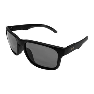 画像をギャラリービューアに読み込む, ALL TERRAIN JP ブラック x ライトグレー日本製偏光レンズ[vidg00501]
